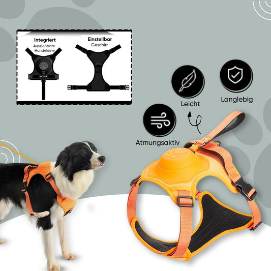 PfotenLove 2-in-1 Hundegeschirr mit integrierter Leine