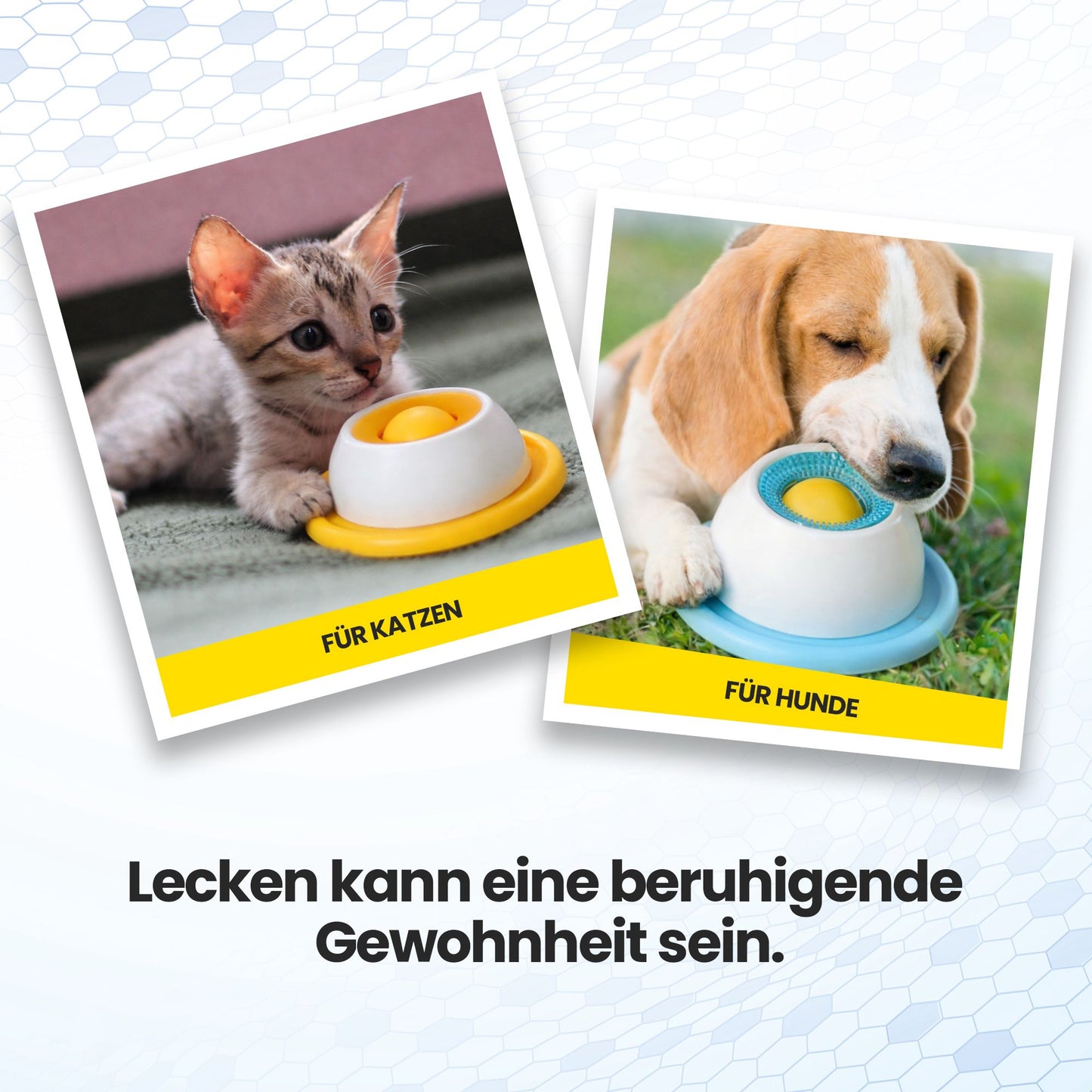 PfotenLove Anti-Schleuder Napf – Sauberer Futternapf für Hunde