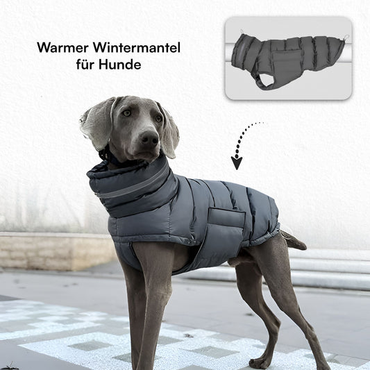 PfotenLove Wintermantel für Hunde – Warme & wasserabweisende Hundejacke