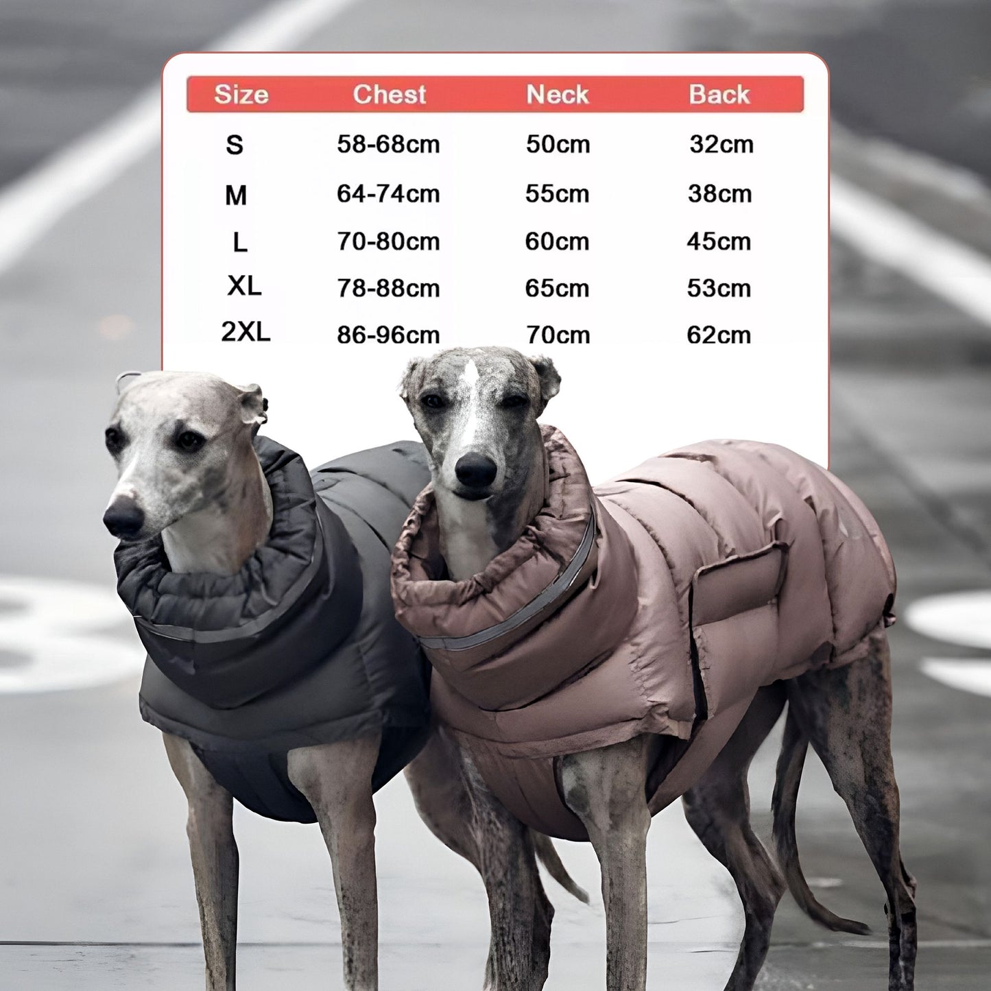 PfotenLove Wintermantel für Hunde – Warme & wasserabweisende Hundejacke