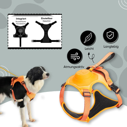 PfotenLove 2-in-1 Hundegeschirr mit integrierter Leine