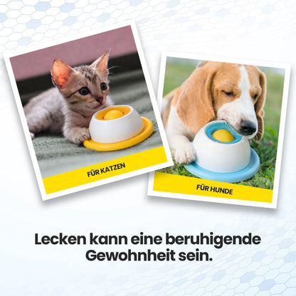 PfotenLove Anti-Schleuder Napf – Sauberer Futternapf für Hunde