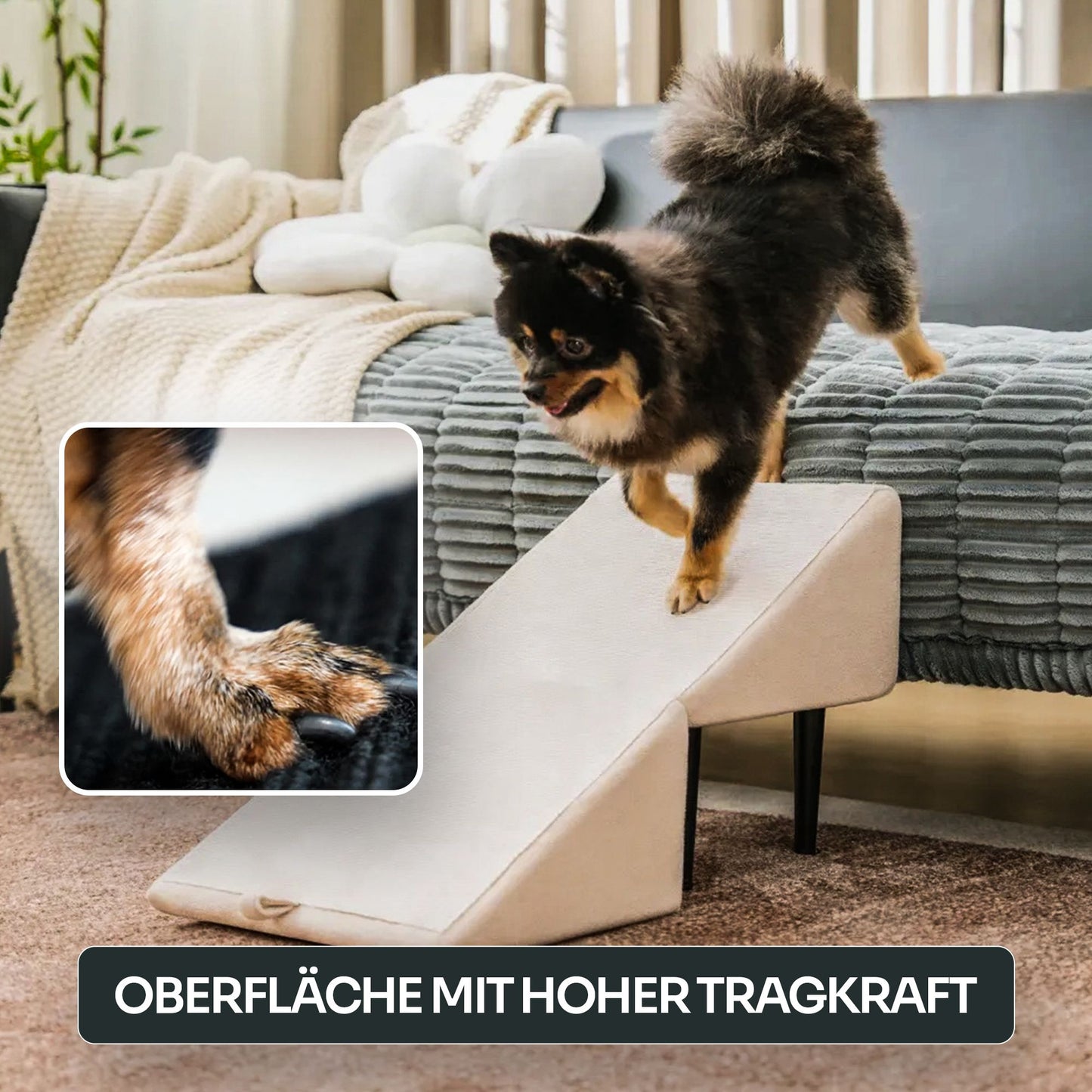 PfotenLove Hunderampe für Sofa – Gelenkschonende Aufstiegshilfe für Hunde