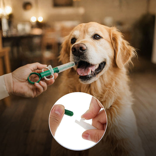 PfotenLove Tablettengeber – Einfache Medikamentengabe für Hunde