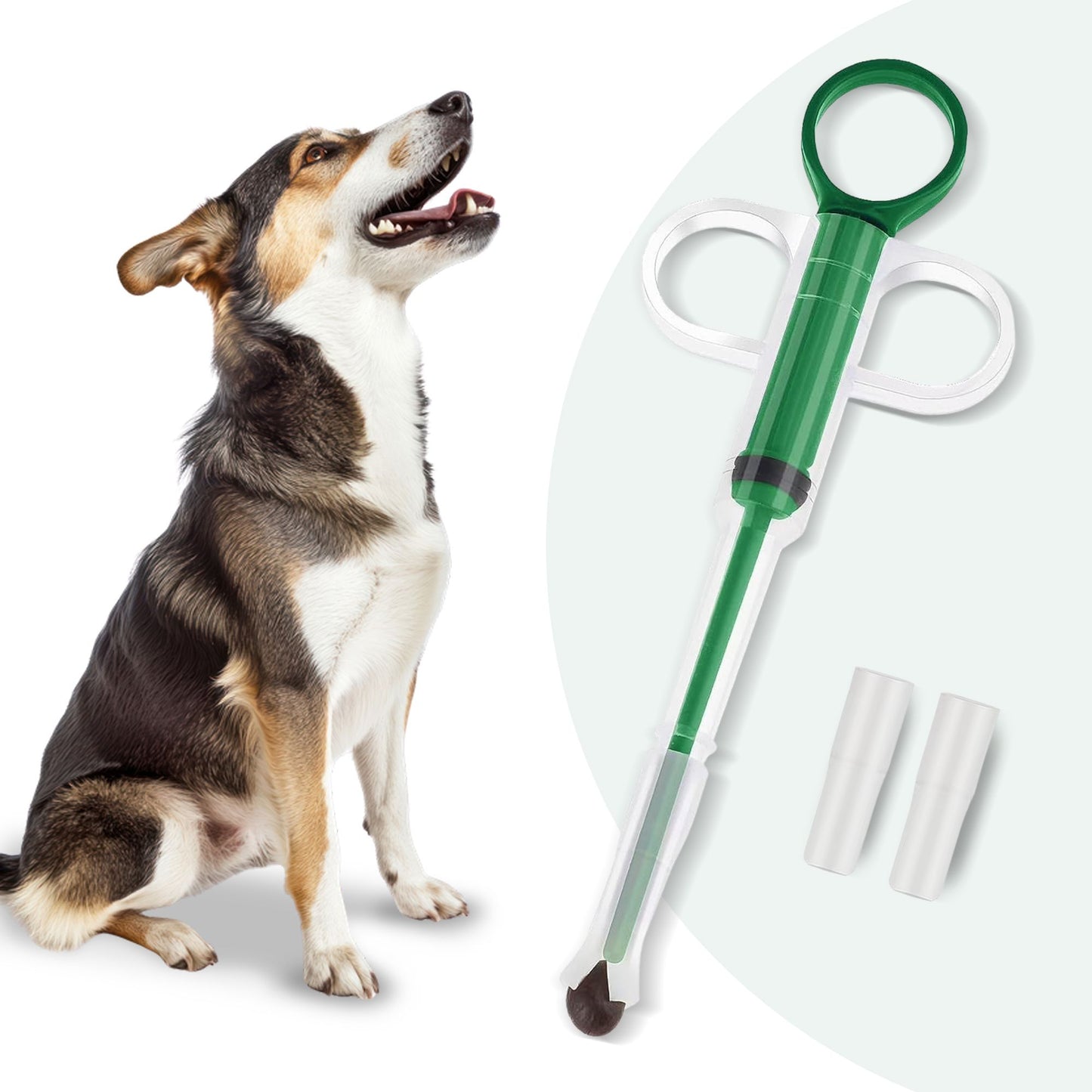 PfotenLove Tablettengeber – Einfache Medikamentengabe für Hunde