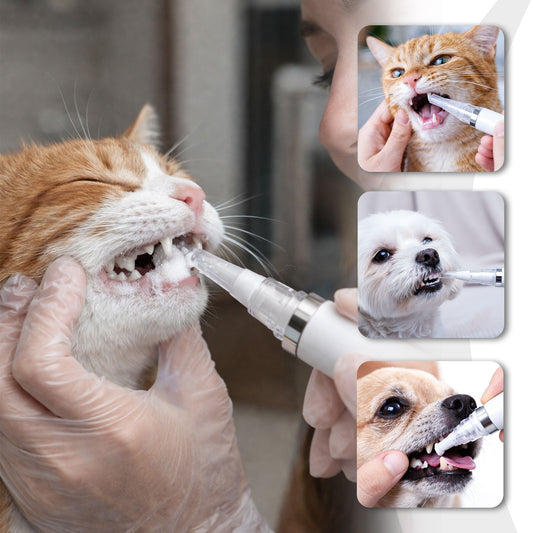 PfotenSmile Zahnpflege Pen – Sanfte Zahnreinigung für Hunde & Katzen