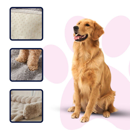 PfotenDream Premium Hundebett – Ultraweiches Komfortbett für erholsamen Schlaf