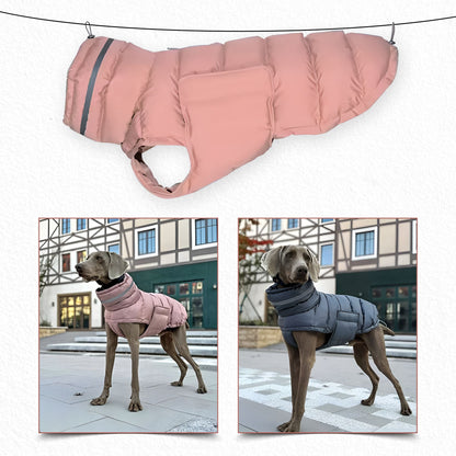 PfotenLove Wintermantel für Hunde – Warme & wasserabweisende Hundejacke