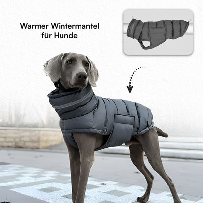 PfotenLove Wintermantel für Hunde – Warme & wasserabweisende Hundejacke